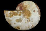 Sliced, Agatized Ammonite Fossil (half) - Jurassic #110749-1